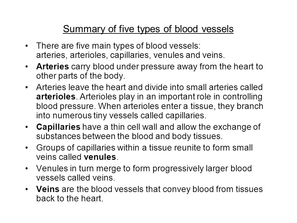 Five Types Of Blood Vessels